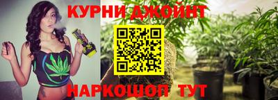 прущие крисы Будённовск