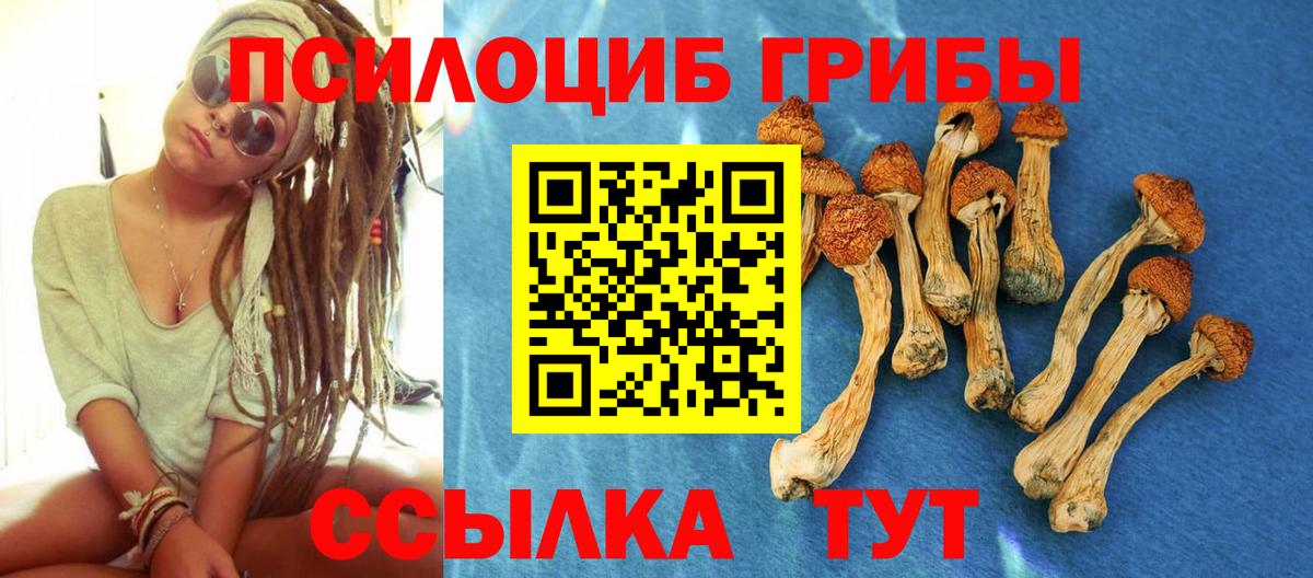 Ростов-на-Дону  Галлюциногенные грибы Psilocybine cubensis  Вход с VPN 