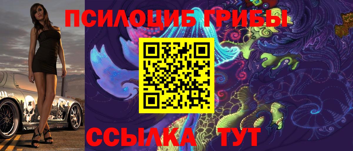 Галлюциногенные грибы прущие грибы Ростов-на-Дону